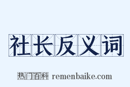 社长反义词是什么意思的图片